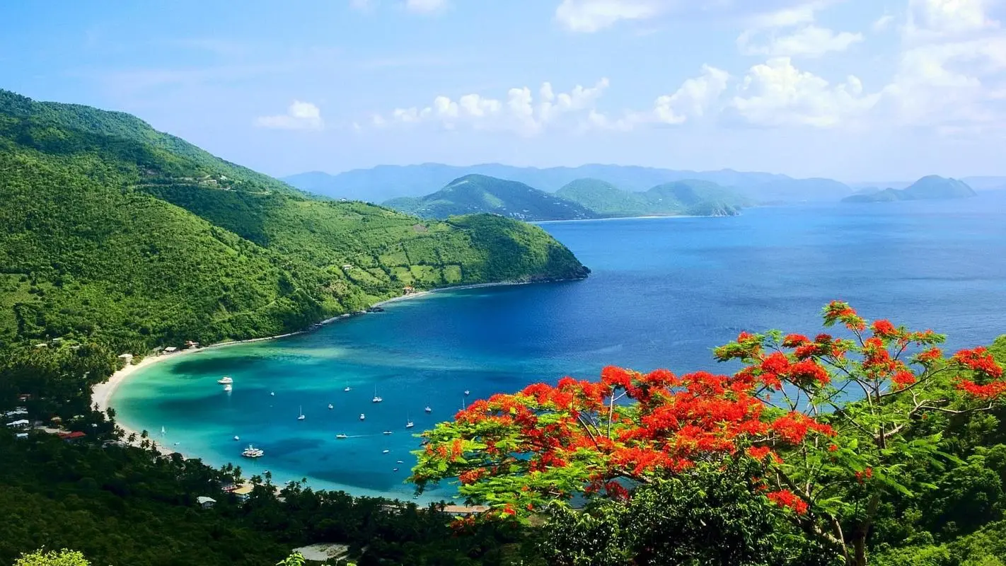 高性能高效
